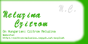 meluzina czitrom business card